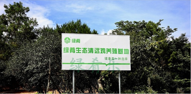 一手三鳥網
